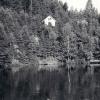 255-waltersalbum-79